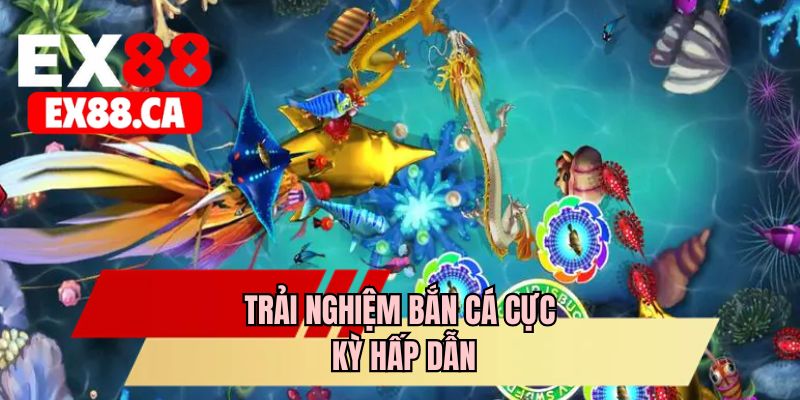 Trải nghiệm bắn cá cực kỳ hấp dẫn