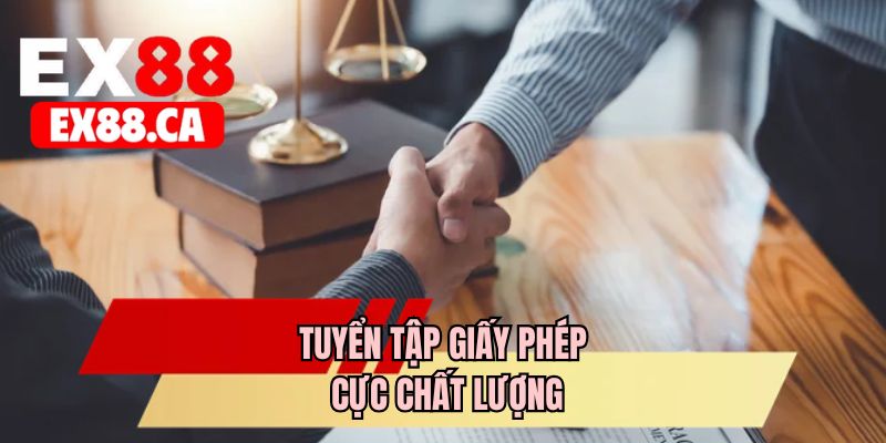 Tuyển tập giấy phép cực chất lượng